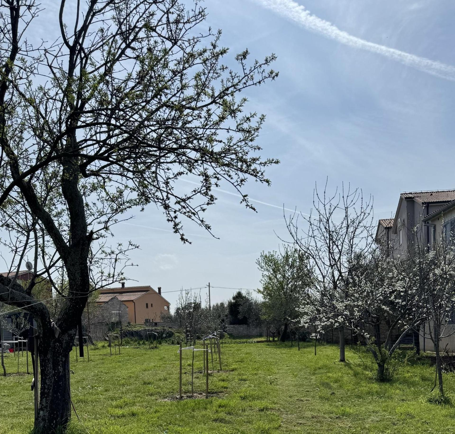 Apartments Milan Peroj Dış mekan fotoğraf